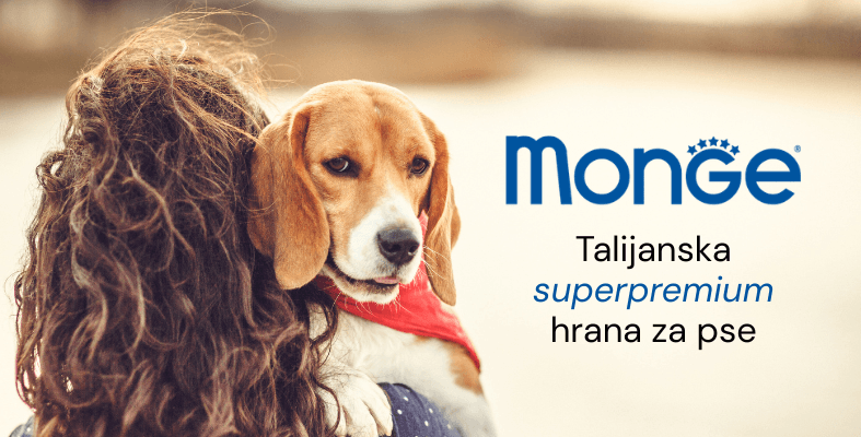 banner monge