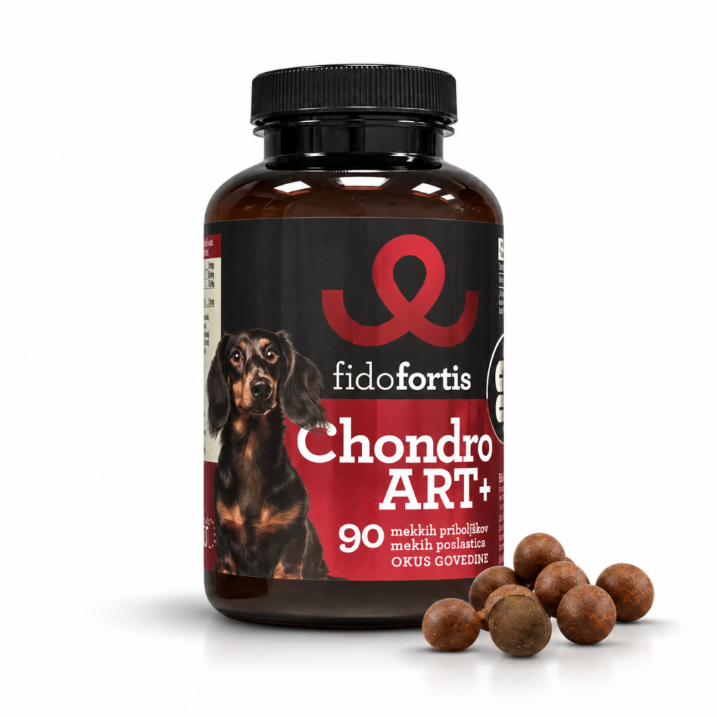 ChondroART+ CHEWS – za podršku zdravlju zglobova i pokretljivosti pasa